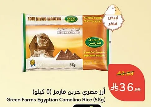 أرز مصري