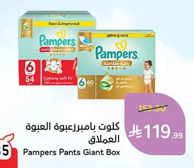 كلوت بامبرز العبوة العملاق