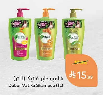 شامبو دابر فاتيكا