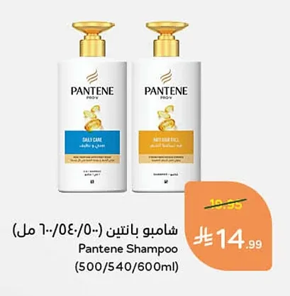 شامبو بانتين