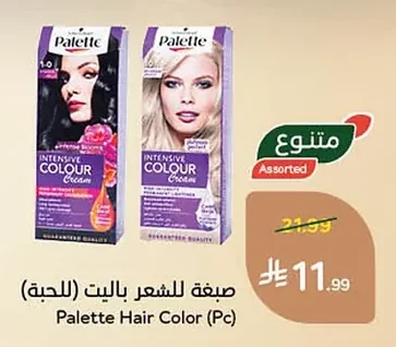 صبغة للشعر باليت (للحبة)