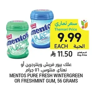 علك بيور فريش وينترجرين أو نعناع