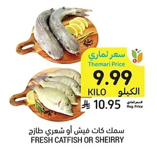 سمك كات فيش أو شعري طازج