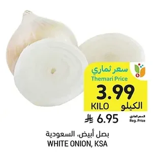 بصل أبيض