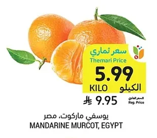 يوسفي ماركوت، مصر