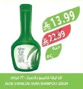 الوف ايفا شامبو بالصبار