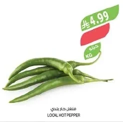 فلفل حار بلدي