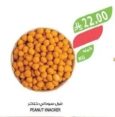فول سوداني شناكر