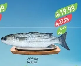 BOURI 1KG