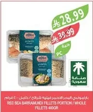 باراموندي البحر الاحمر فيليه شرائح