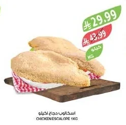اسكالوب دجاج