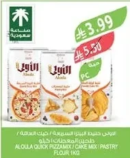 الولى دقيق
