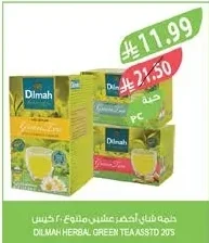 دلمة شاي أخضر عشبي متنوع