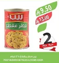 فطر مقطع