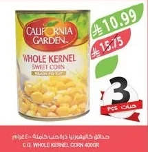 حبلاقي كاليفورنيا ذرة حب كاملة