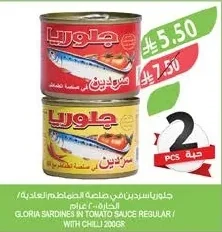 جلوريا سردين في صلصة الطماطم