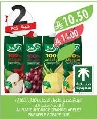 الربيع عصير طويل الأجل برتقال / تفاح / أناناس / عنب ١ لتر