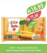 ساديا لكواز ذرة مجمدة