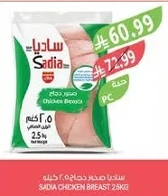 صدور دجاج