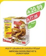 امريكانا دجاج زنجز حار و مقرمش