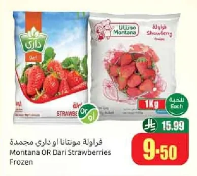 فراولة مونتانا أو داري مجمدة
