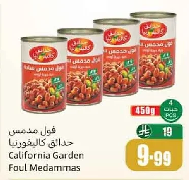 فول مدمس حدائق كاليفورنيا