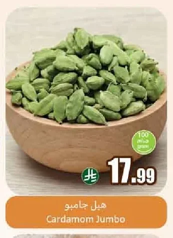 هيل جامبو