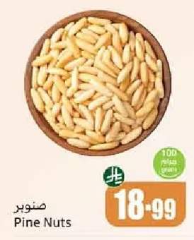 صنوبر