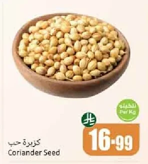 كزبرة حب