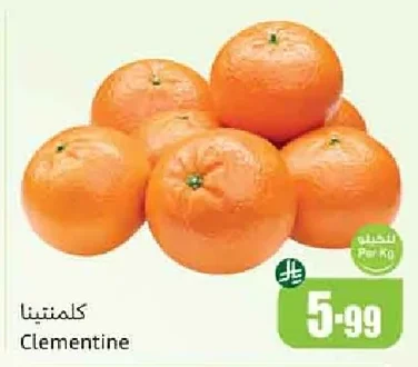 كلمنتينا