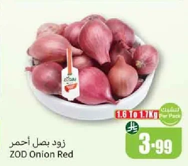 زود بصل أحمر