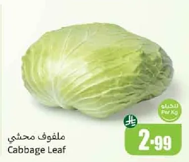 ملفوف محشي