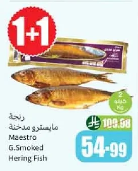 رنجة مايسترو مدخنة
