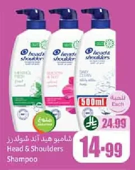 شامبو هيد اند شولدرز