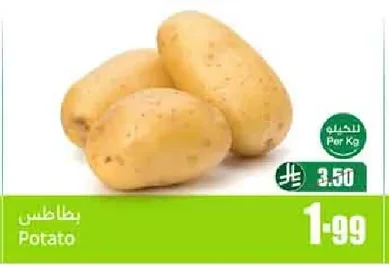 بطاطس