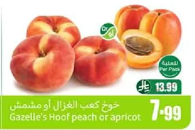 خوخ كعب الغزال أو مشمش