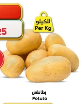 بطاطس