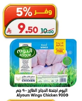اليوم أجنحة الدجاج