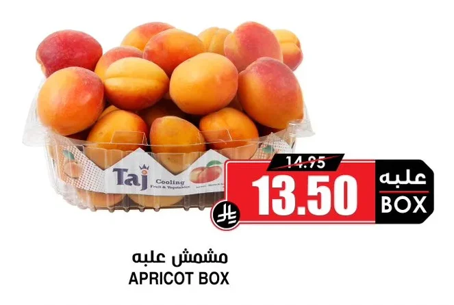 مشمش