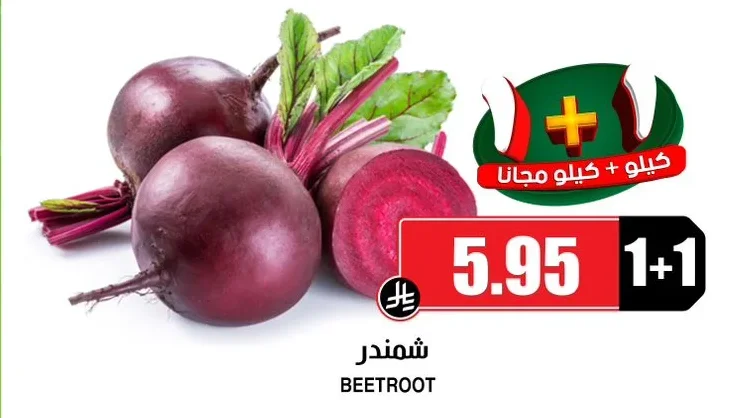 شمندر