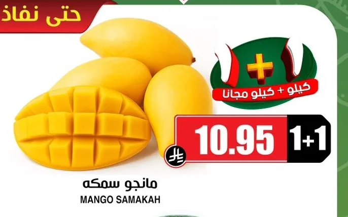 مانجو سمكه