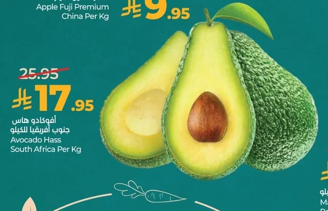 Avocado Hass