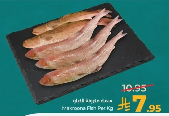 Makroona Fish Per Kg