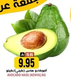 أفوكادو هاس
