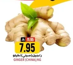 زنجبيل (صيلي)