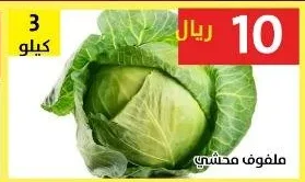 ملفوف محشي