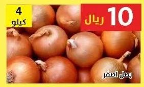 بصل