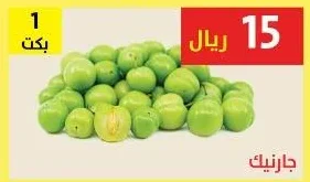 جارنيك