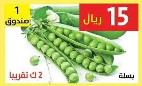بسلة
