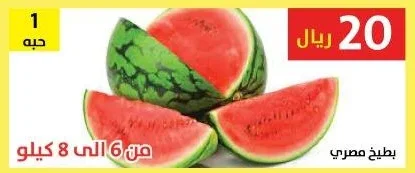 بطيخ مصري